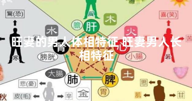 旺妻的男人体相特征 旺妻男人长相特征